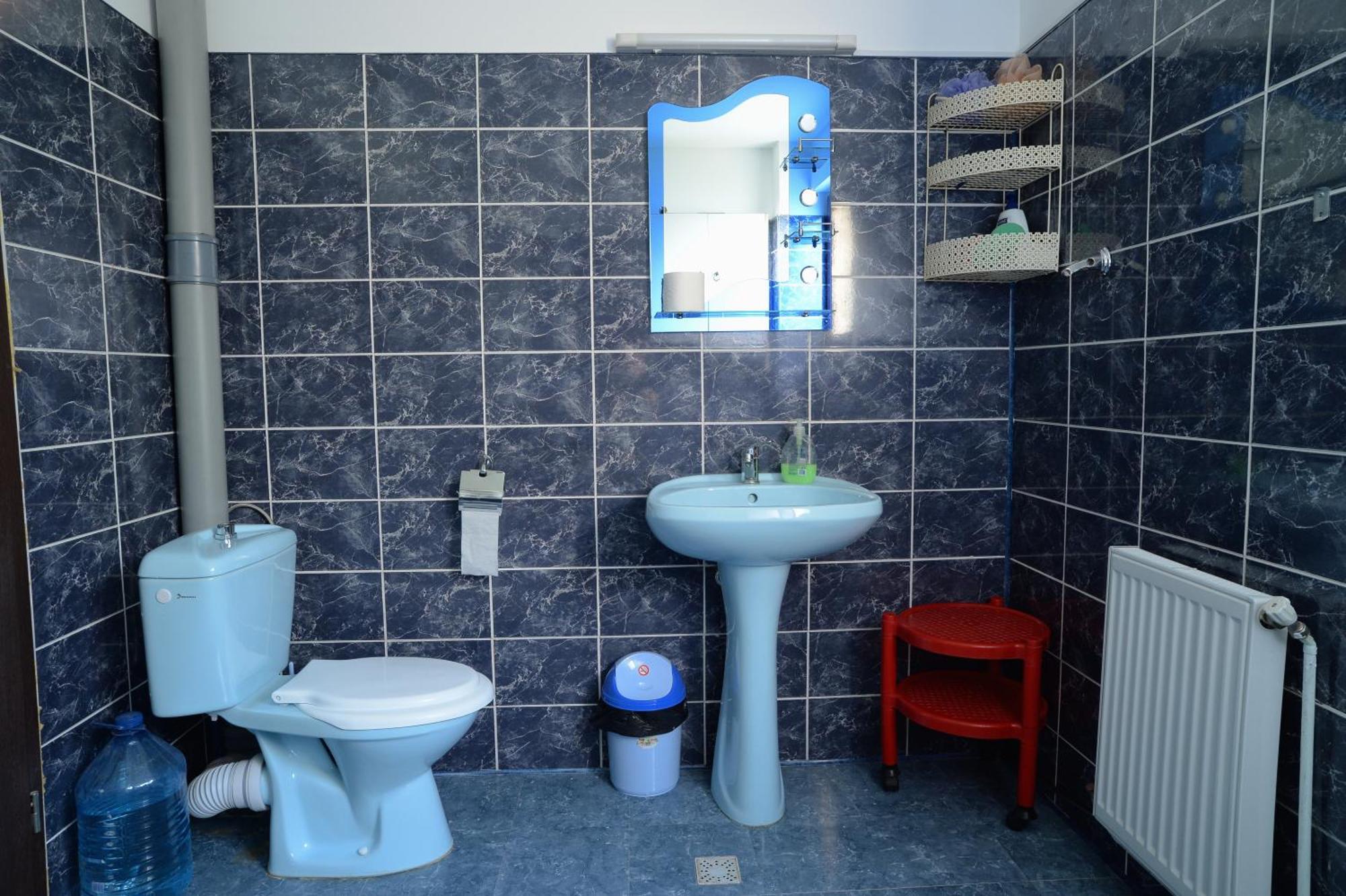 Vila Madudu Vălenii de Munte Extérieur photo